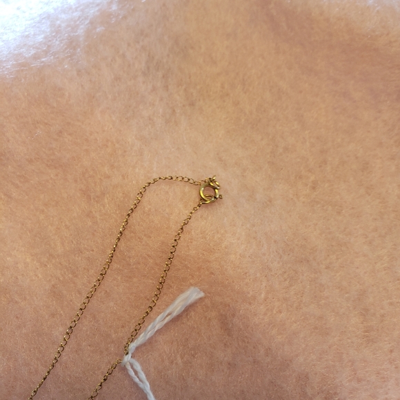 Double Heart Carnelian Gemstone Pendant Necklace on Gold Chain - Picture 5 of 8